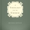 a theology for the church