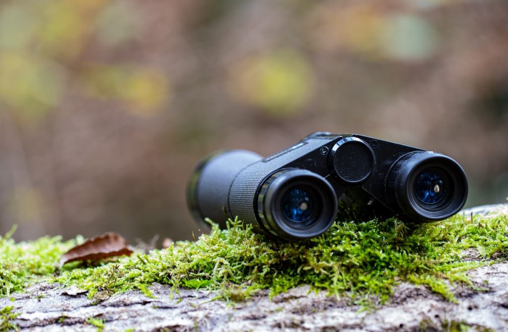 binoculars, moss, forest